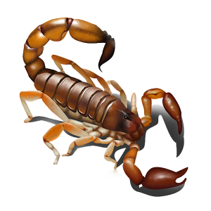 Scorpion PNG-12123